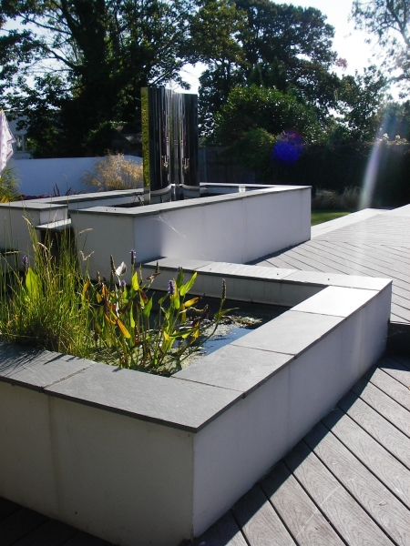 Contemporary water feature plants (5)
