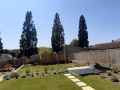 Relaxing Contemporary Garden