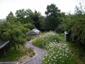 Contemporary sustainable garden before (2)
