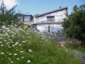Contemporary sustainable garden before (4)