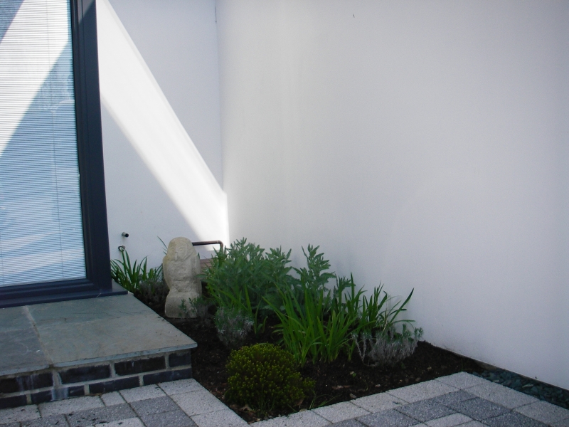 Contemporary front garden (8)