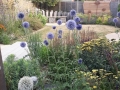 11 Coastal planting