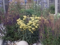 13 planting design and stone globe light