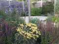 Maritime planting design shade sail