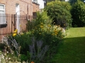 St Marks Church Woolston plant border (4)