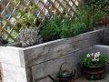 Small garden (5)
