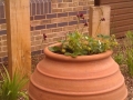 St Marks Hospital physiotherapy garden (11)