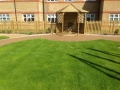 St Marks Hospital physiotherapy garden (15)