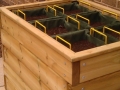 St Marks Hospital physiotherapy garden (9)