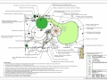 Family and woodland Ideas and inspiration garden plan