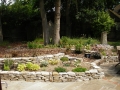 Family garden (8)