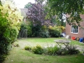 Family garden before (1)