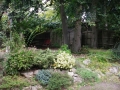 Family garden before (3)