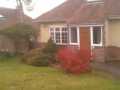 3a-Before-Garden-design-1