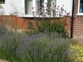 3b_Front_garden_deisgn_raised_bed