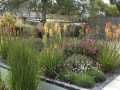 1-Summer-planting-ideas