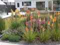 Bespoke garden design