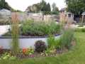 6-autumn-planting-ideas