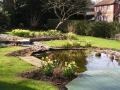 Planting design before (1)
