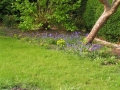 Planting design first spring (1)